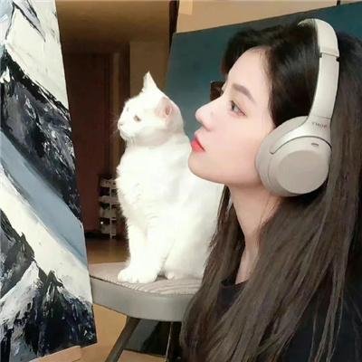 麦里斯德与黑宝马